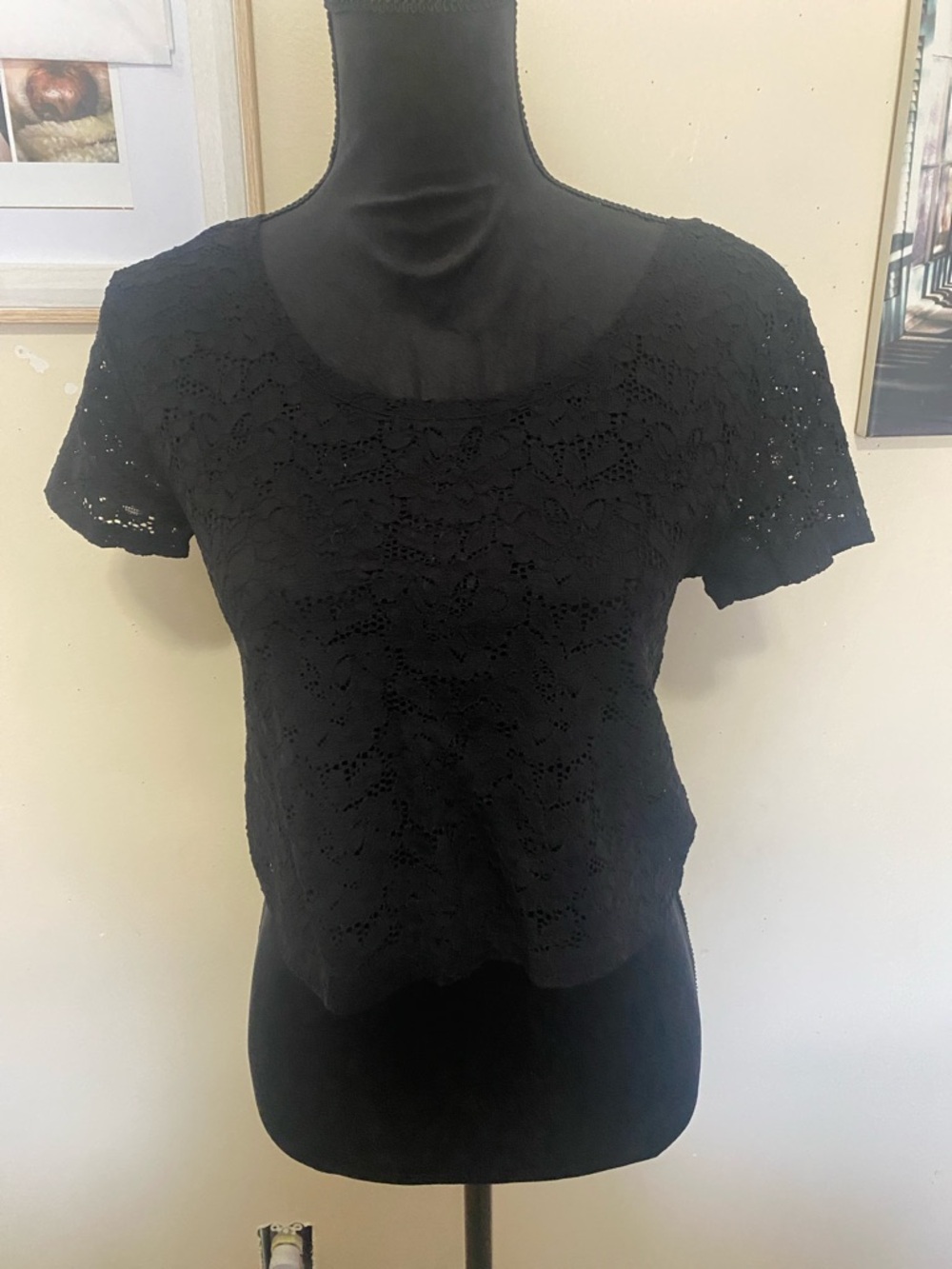 Express Black Lace Short-Sleeve Crop Top Sz Small